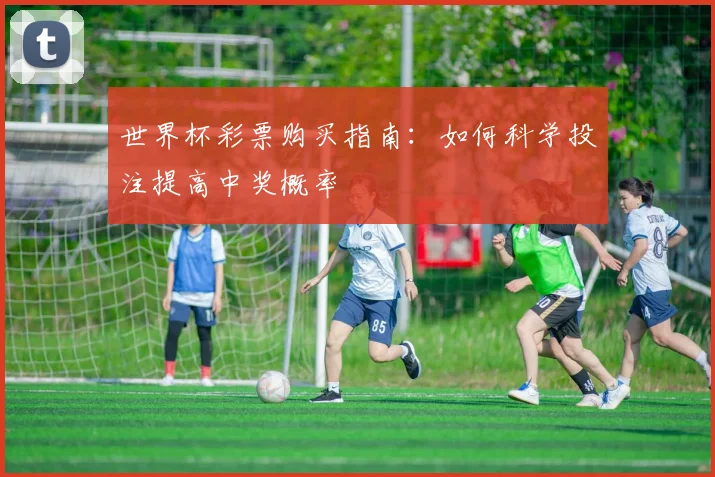 世界杯彩票购买指南：如何科学投注提高中奖概率