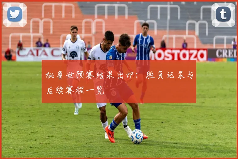 秘鲁世预赛结果出炉：胜负记录与后续赛程一览
