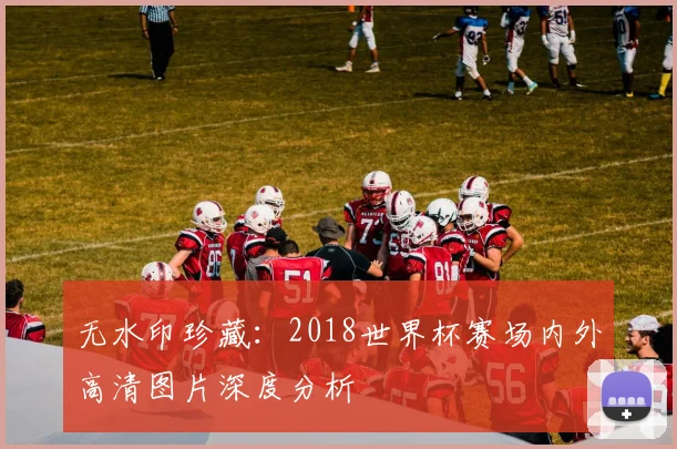 无水印珍藏：2018世界杯赛场内外高清图片深度分析